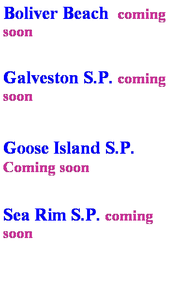 Text Box: Boliver Beach  coming soon
 
Galveston S.P. coming soon
 
Goose Island S.P.  Coming soon
 
Sea Rim S.P. coming soon
 
